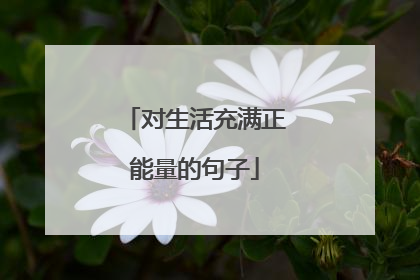 对生活充满正能量的句子