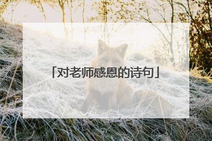 对老师感恩的诗句