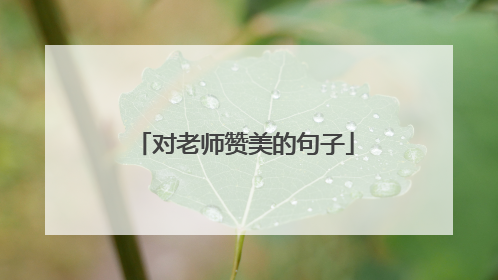 对老师赞美的句子