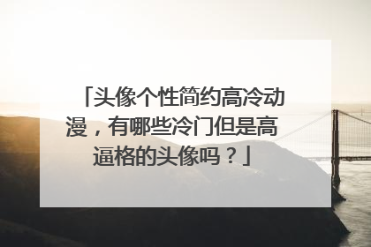 头像个性简约高冷动漫，有哪些冷门但是高逼格的头像吗？