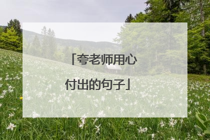 夸老师用心付出的句子