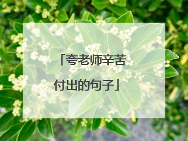 夸老师辛苦付出的句子