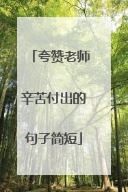 夸赞老师辛苦付出的句子简短