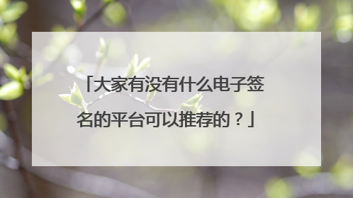 大家有没有什么电子签名的平台可以推荐的？