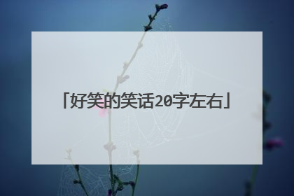 好笑的笑话20字左右