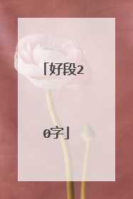 好段20字