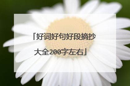 好词好句好段摘抄大全200字左右