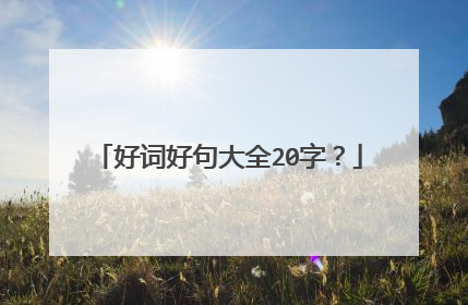 好词好句大全20字？