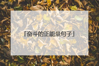 奋斗的正能量句子