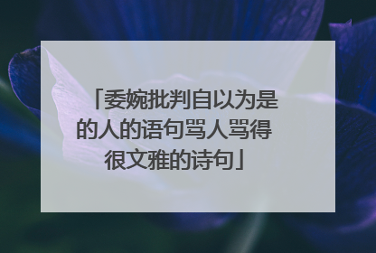 委婉批判自以为是的人的语句骂人骂得很文雅的诗句