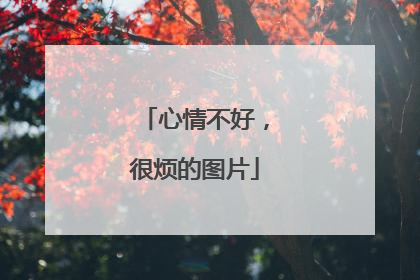 心情不好，很烦的图片