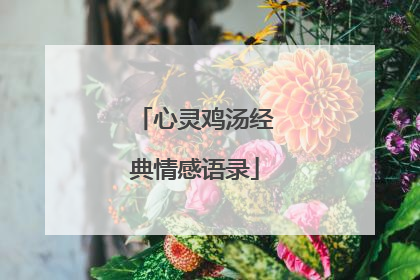 心灵鸡汤经典情感语录