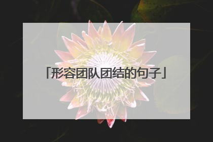 形容团队团结的句子