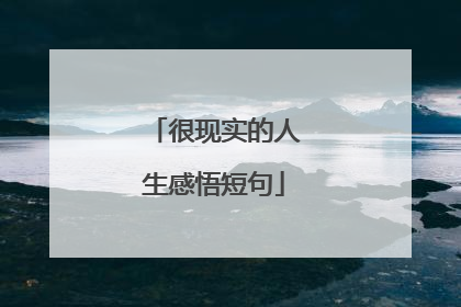 很现实的人生感悟短句