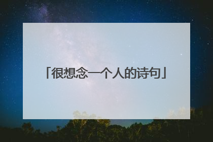 很想念一个人的诗句