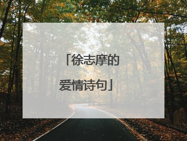 徐志摩的爱情诗句