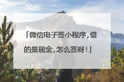 微信电子签小程序,借的是现金,怎么签呀!