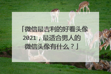 微信最吉利的好看头像2021，最适合男人的微信头像有什么？