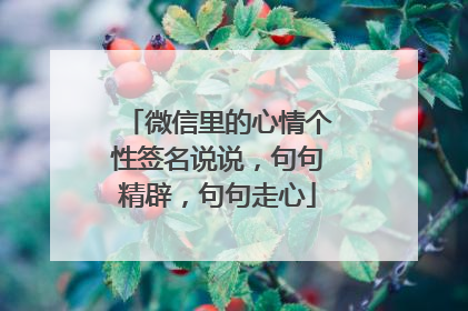 微信里的心情个性签名说说，句句精辟，句句走心