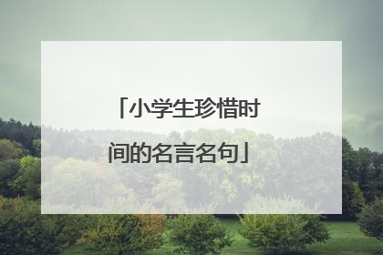 小学生珍惜时间的名言名句