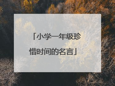 小学一年级珍惜时间的名言