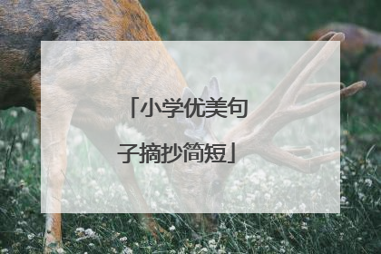 小学优美句子摘抄简短