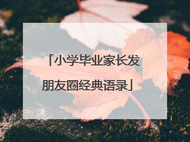 小学毕业家长发朋友圈经典语录