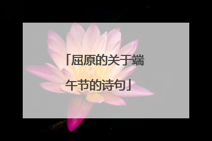 屈原的关于端午节的诗句