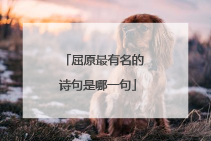 屈原最有名的诗句是哪一句