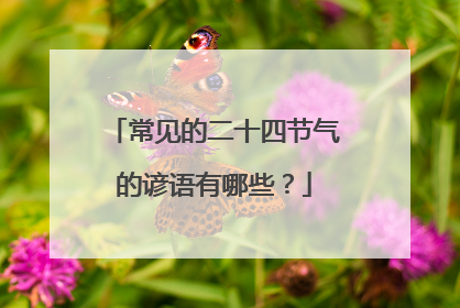 常见的二十四节气的谚语有哪些？