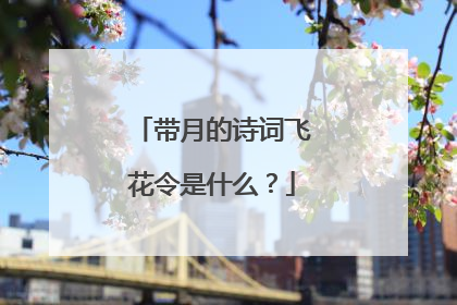 带月的诗词飞花令是什么？