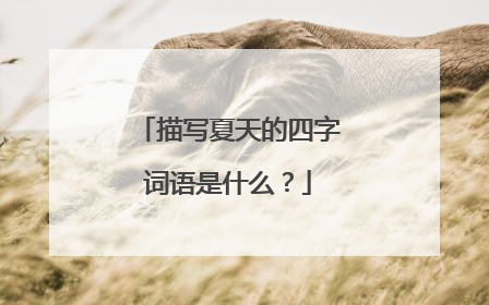 描写夏天的四字词语是什么？