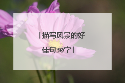 描写风景的好佳句30字