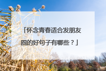 怀念青春适合发朋友圈的好句子有哪些？