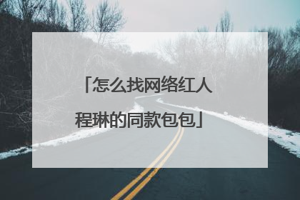 怎么找网络红人程琳的同款包包