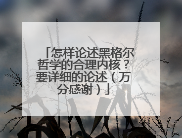 怎样论述黑格尔哲学的合理内核？要详细的论述（万分感谢）