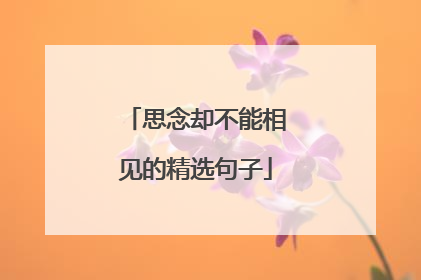 思念却不能相见的精选句子