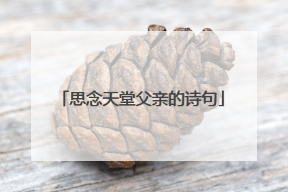 思念天堂父亲的诗句