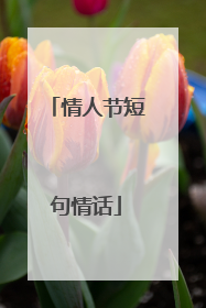 情人节短句情话