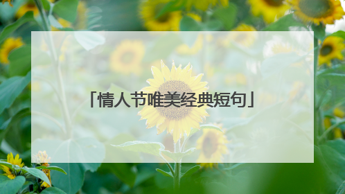 情人节唯美经典短句