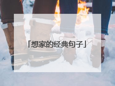 想家的经典句子