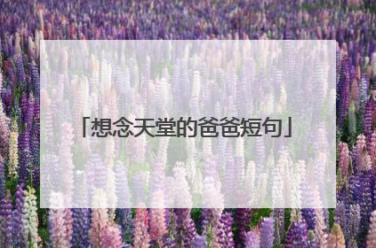 想念天堂的爸爸短句