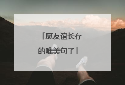 愿友谊长存的唯美句子