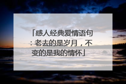 感人经典爱情语句：老去的是岁月，不变的是我的情怀