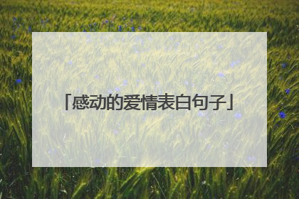 感动的爱情表白句子