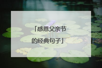 感恩父亲节的经典句子