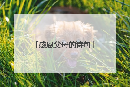 感恩父母的诗句