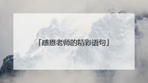 感恩老师的精彩语句