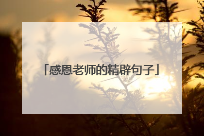 感恩老师的精辟句子