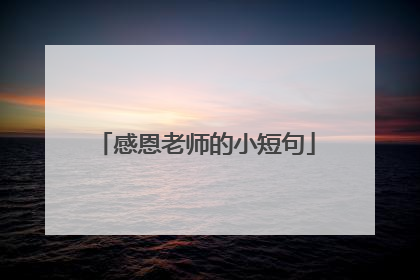 感恩老师的小短句